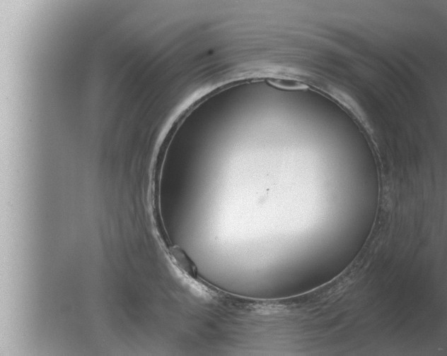 X0000080131136200612221850