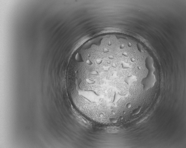 X0000080131137200612221850