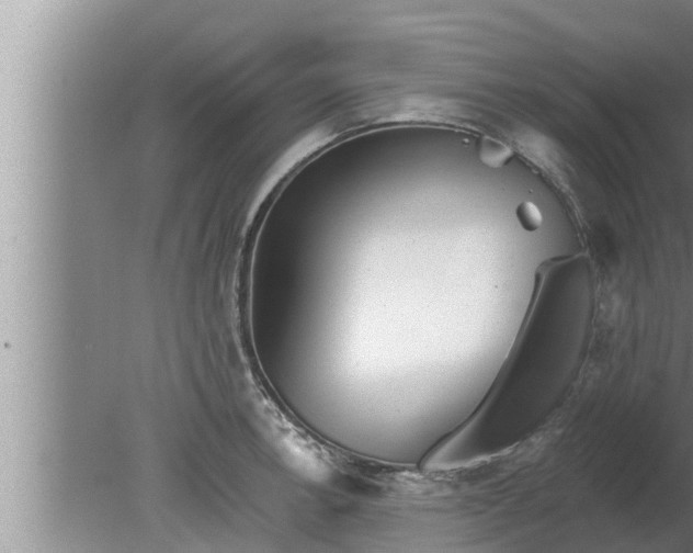 X0000080131138200612221850