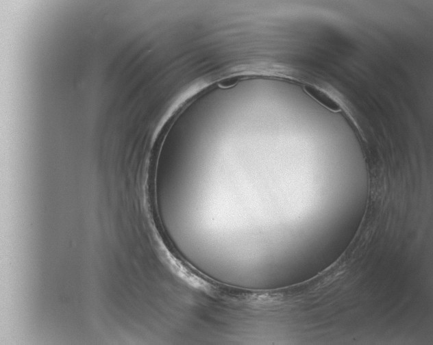 X0000080131139200612221850