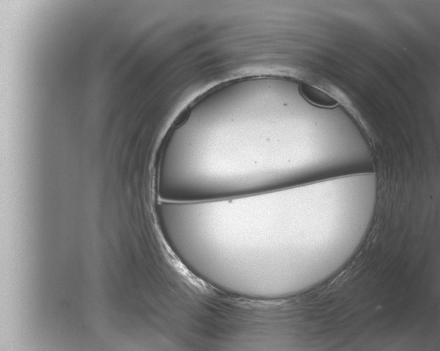 X0000080131140200612221850