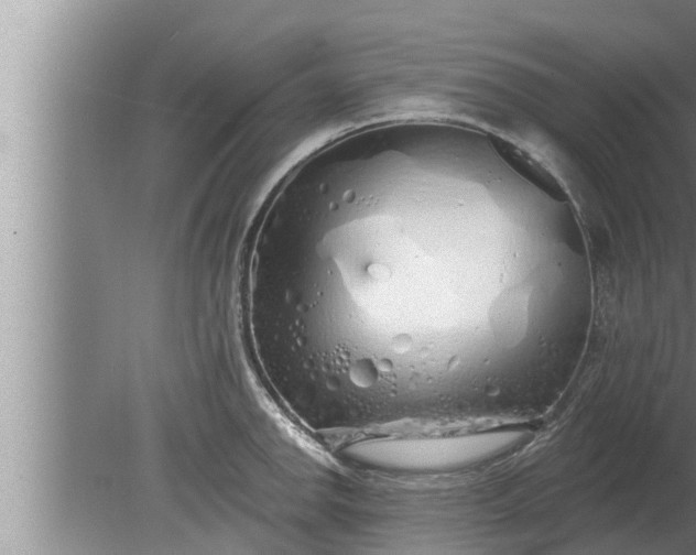 X0000080131142200612221850