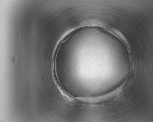 X0000080131144200612221850