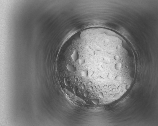 X0000080131145200612221850