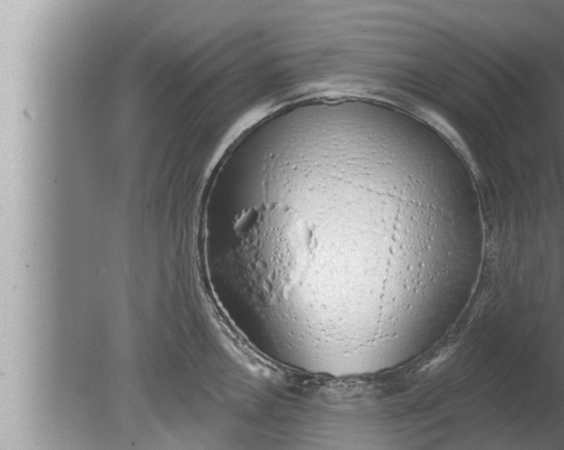 X0000080131146200612221850