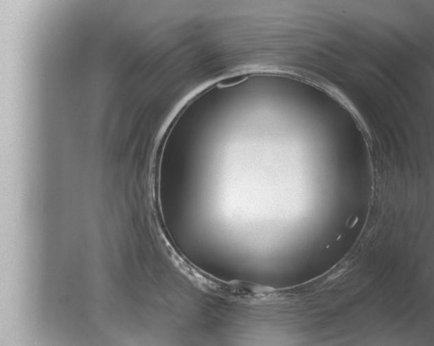 X0000080131148200612221850