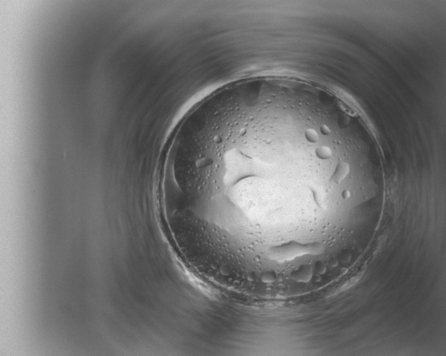 X0000080131149200612221850