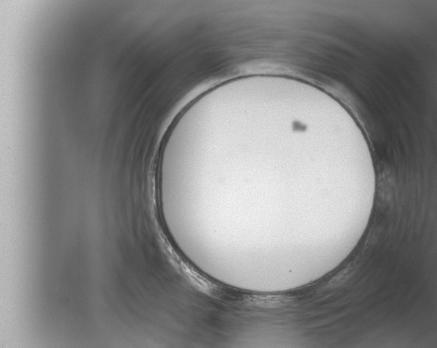 X0000080131150200612221850