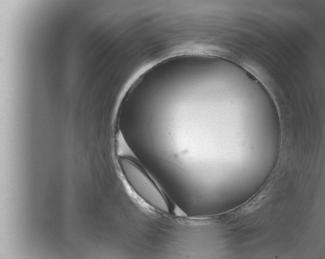 X0000080131152200612221851