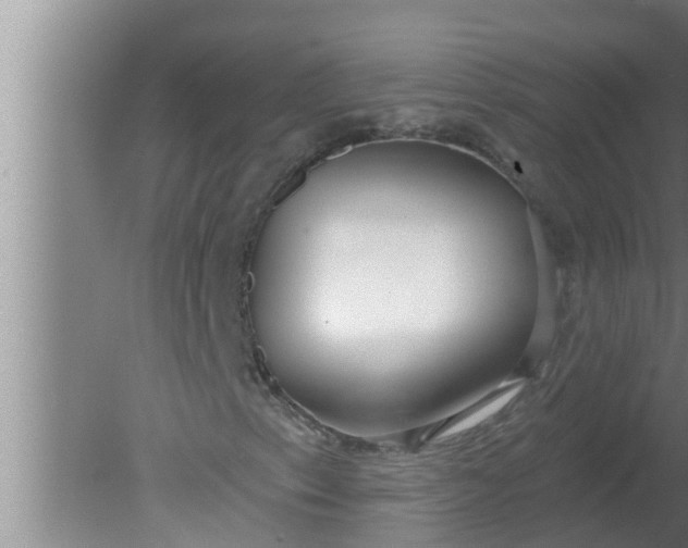 X0000080131153200612221850