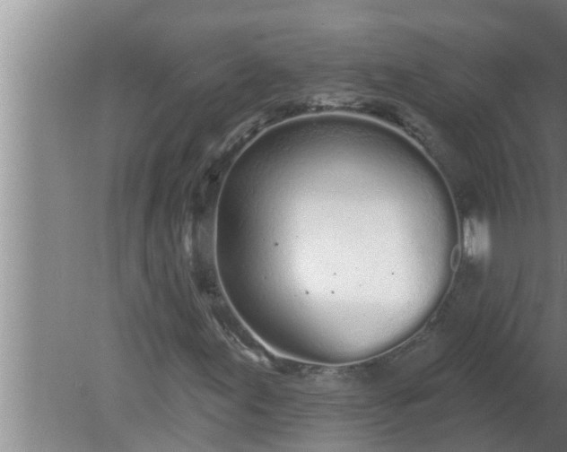 X0000080131155200612221850