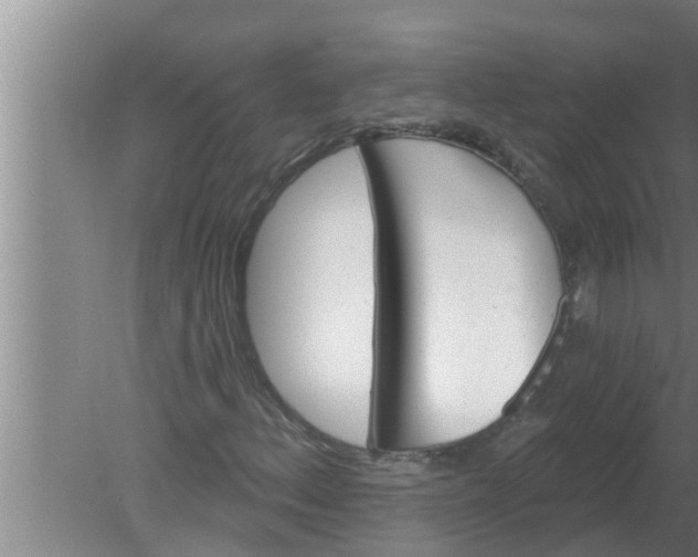 X0000080131156200612221850