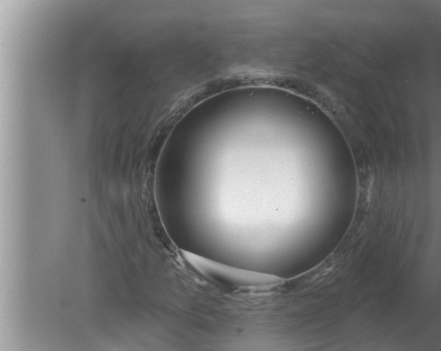 X0000080131157200612221850