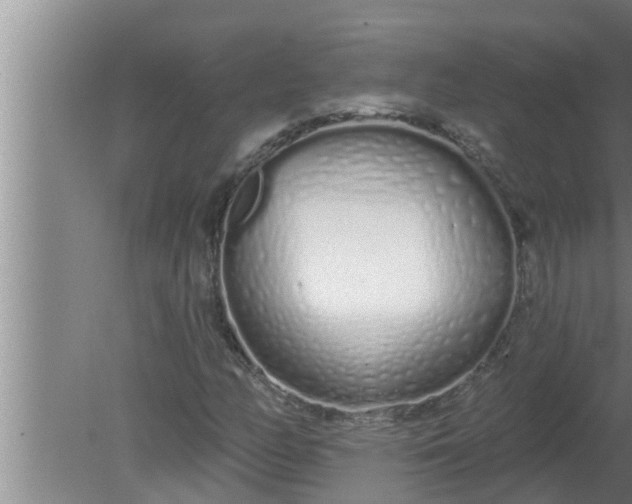 X0000080131158200612221850