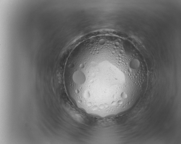 X0000080131159200612221850