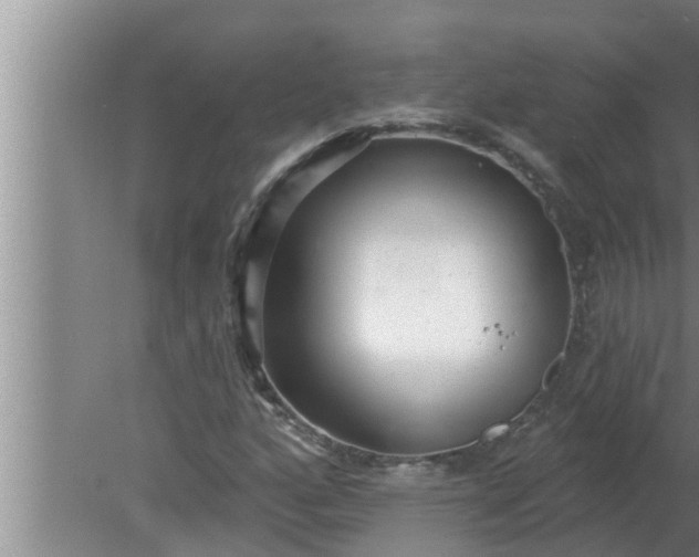 X0000080131160200612221850