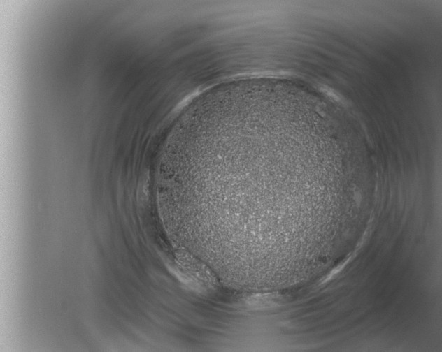 X0000080131161200612221850