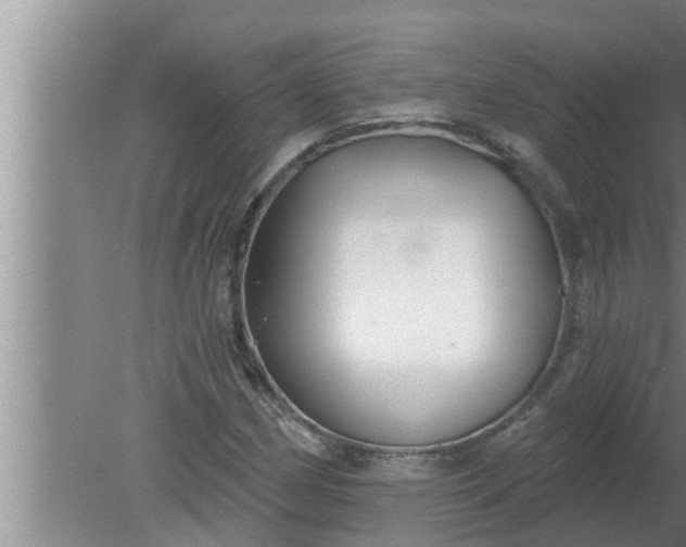 X0000080131162200612221850