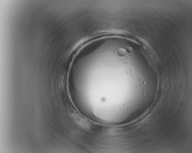 X0000080131163200612221850