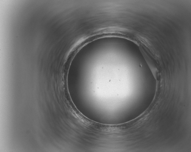 X0000080131164200612221850