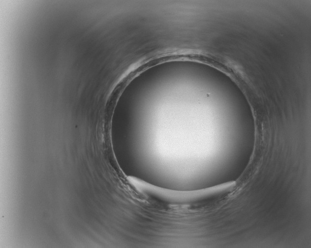 X0000080131165200612221850