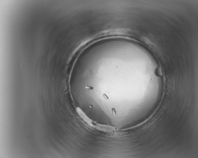 X0000080131166200612221849