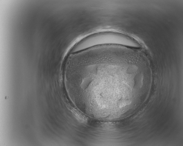 X0000080131167200612221849