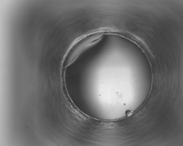 X0000080131168200612221849