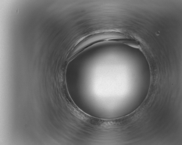 X0000080131169200612221849