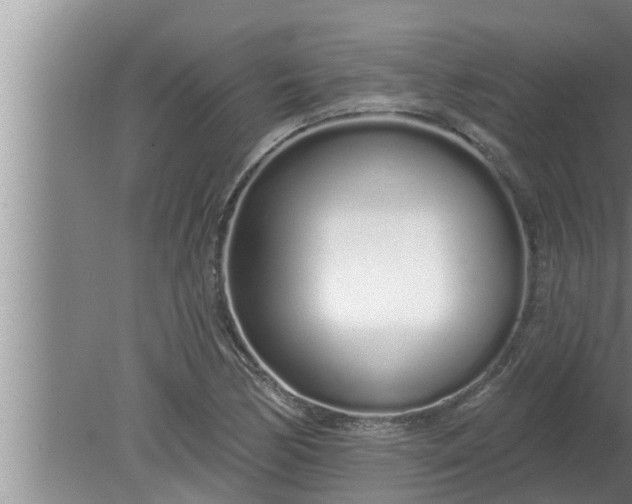 X0000080131170200612221849