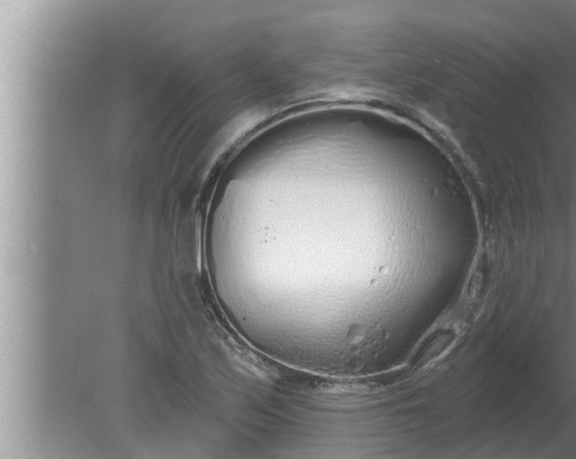 X0000080131171200612221849