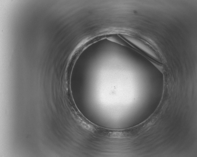 X0000080131172200612221849