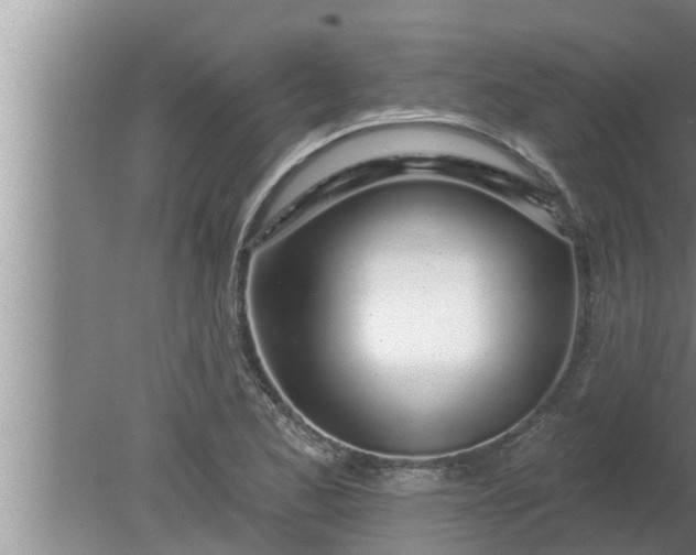 X0000080131173200612221849