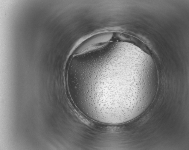 X0000080131176200612221849