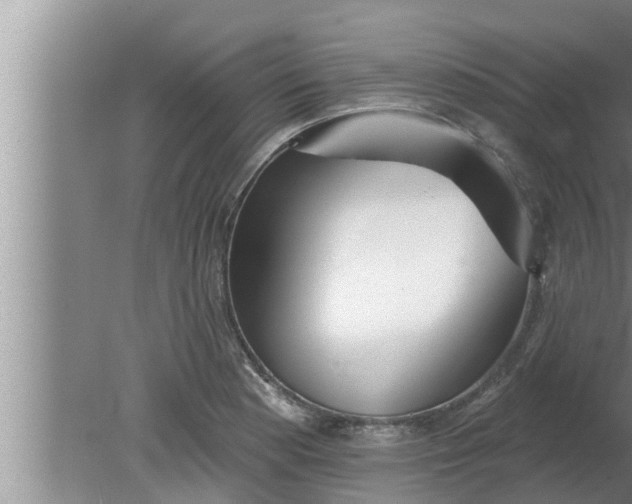 X0000080131177200612221849