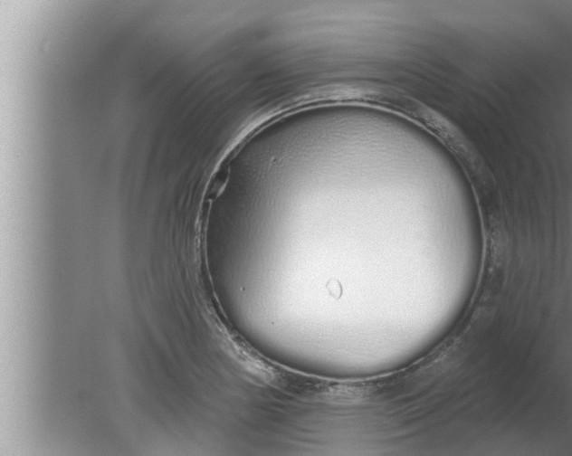 X0000080131178200612221849