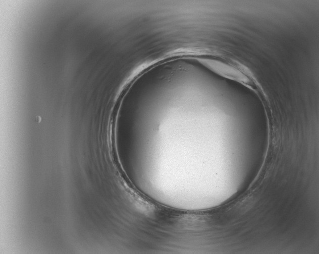 X0000080131179200612221849