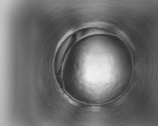 X0000080131180200612221849