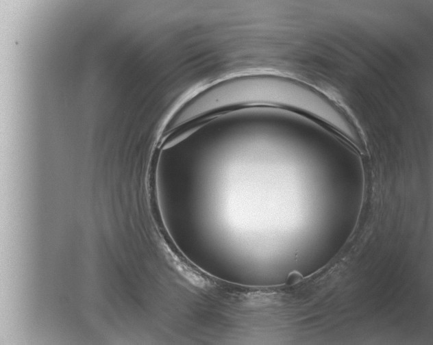 X0000080131181200612221849