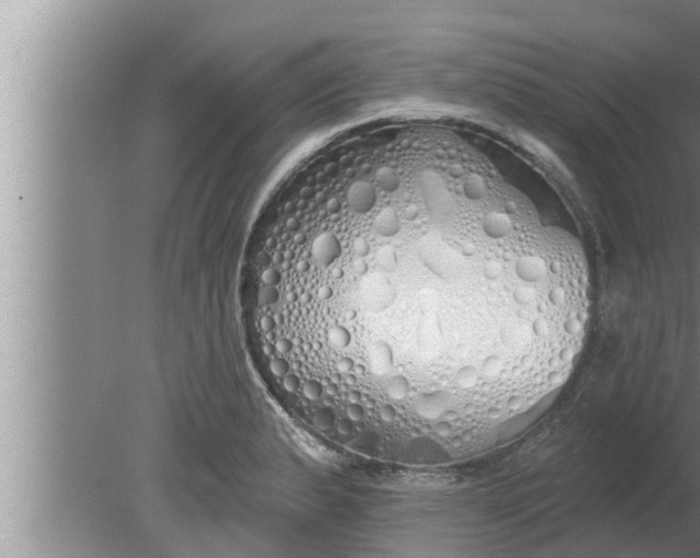 X0000080131183200612221849