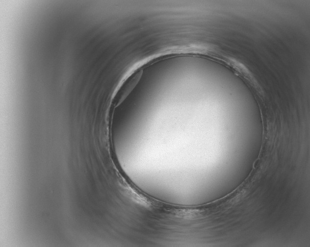 X0000080131184200612221849