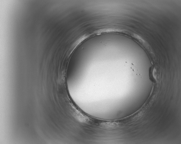 X0000080131185200612221849