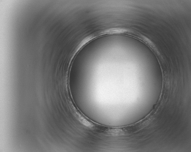 X0000080131186200612221849