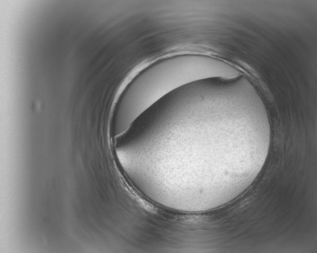 X0000080131188200612221849