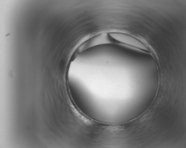 X0000080131189200612221849