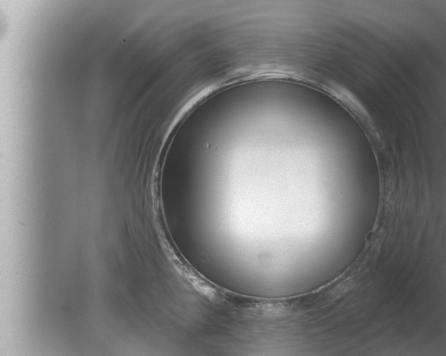 X0000080131190200612221849