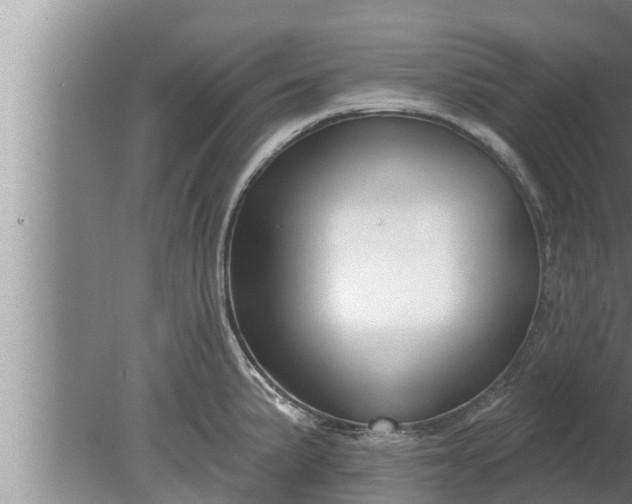 X0000080131191200612221849