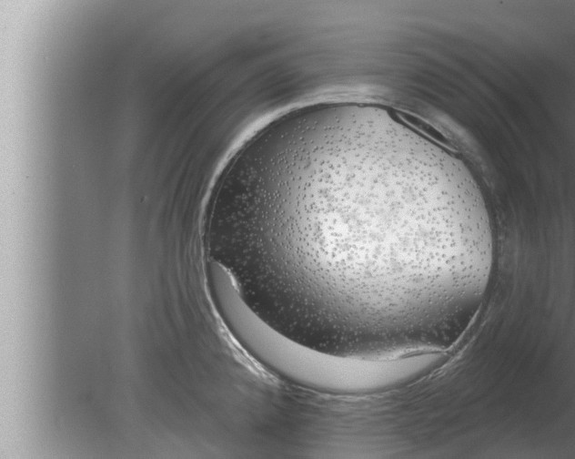 X0000080131192200612221849