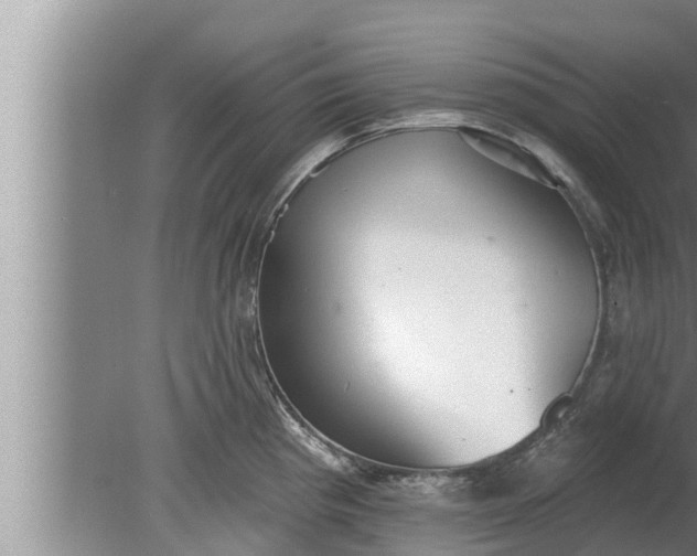 X0000080131193200612221849