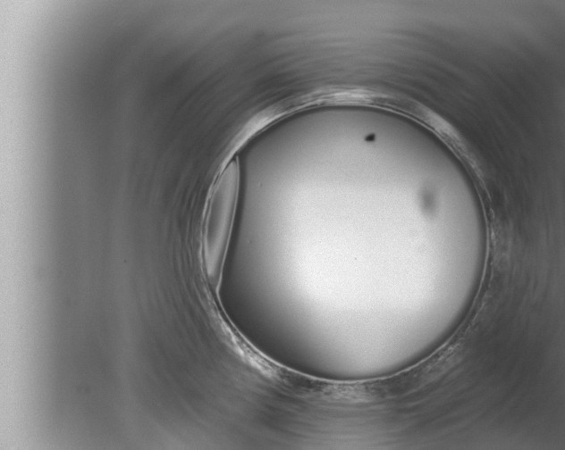 X0000080131194200612221849